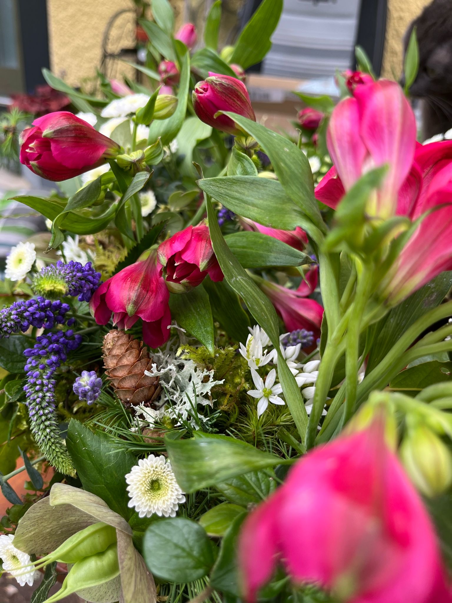 Grüne Texturen und Moose