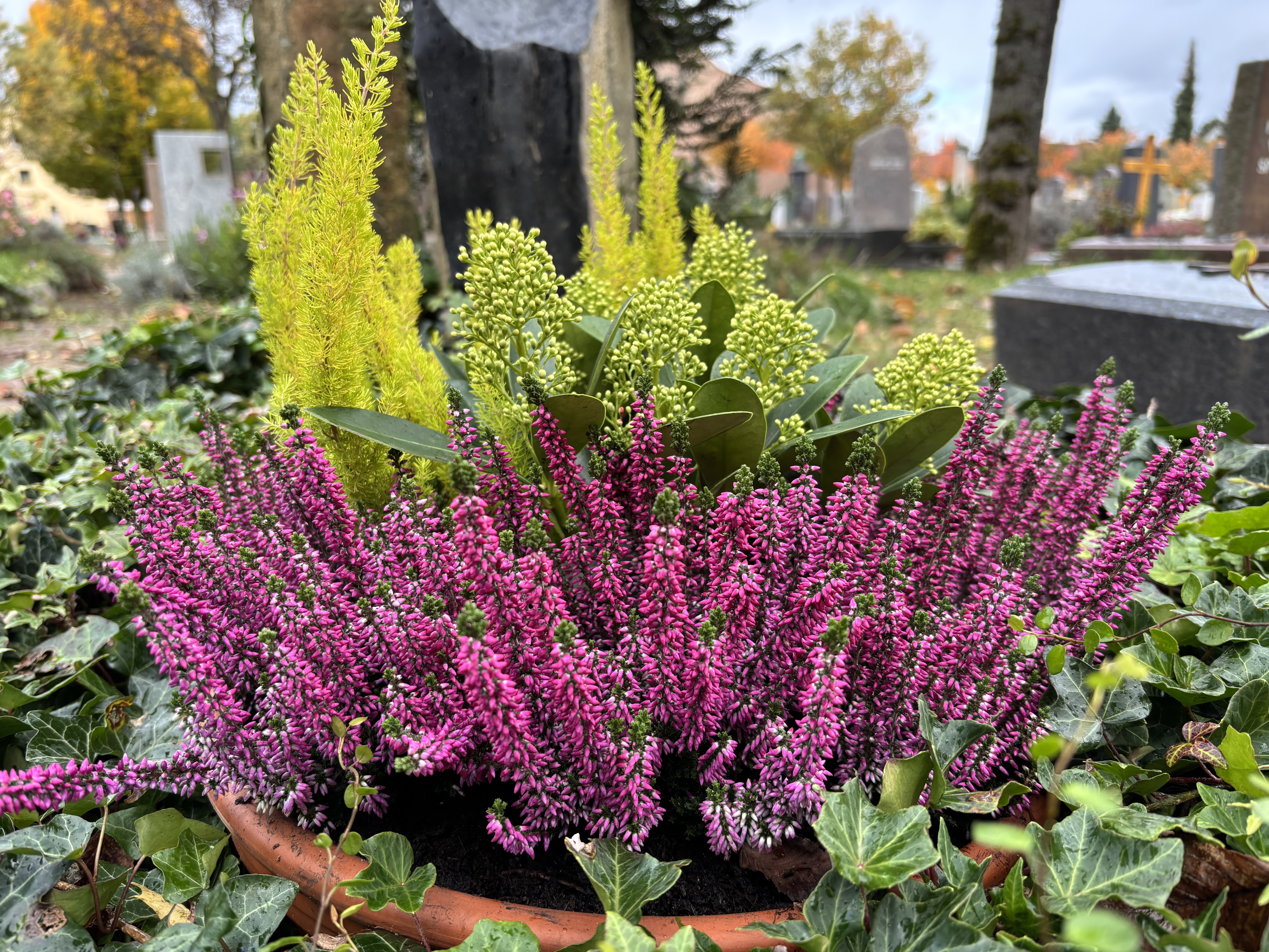 Herbstliche Pflanzschale